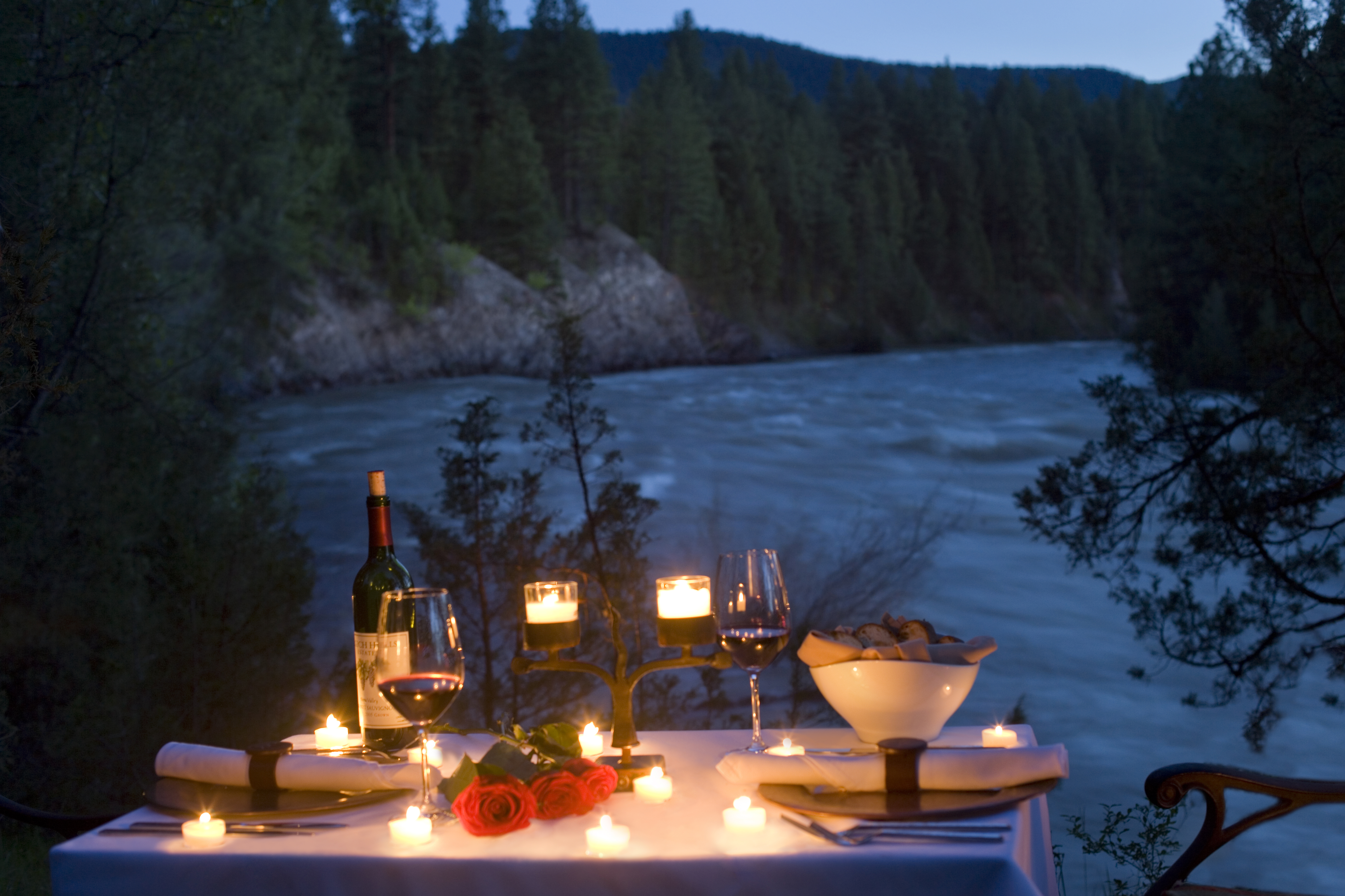Романтический ужин в лесу